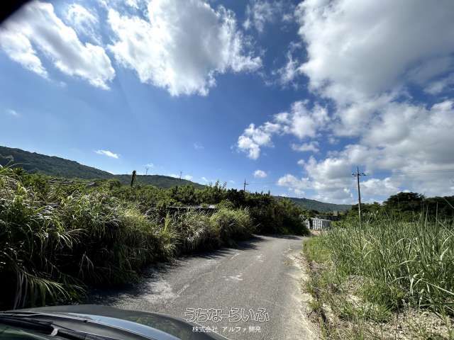 3909 sqm Land for Sale in Sashiki, Nanjo City, Okinawa - Thumbnail 3