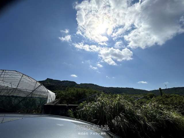 3909 sqm Land for Sale in Sashiki, Nanjo City, Okinawa - Thumbnail 4