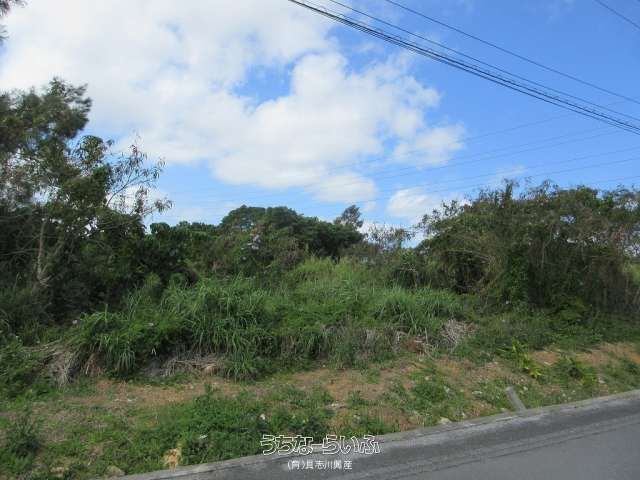 1040 sqm Agricultural Land for Sale in Kin Town, Okinawa - Thumbnail 2