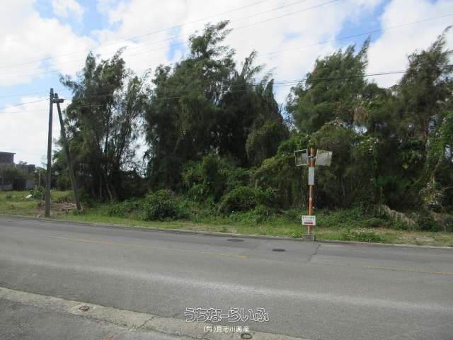 1040 sqm Agricultural Land for Sale in Kin Town, Okinawa - Thumbnail 4