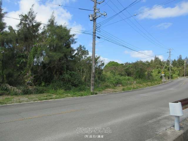 1040 sqm Agricultural Land for Sale in Kin Town, Okinawa - Thumbnail 3
