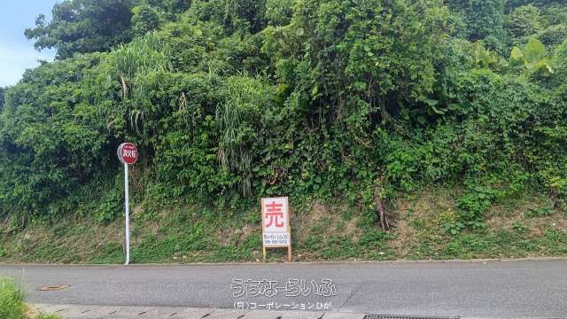 2312㎡ Land for Sale in Ezu, Uruma City, Okinawa - Thumbnail 2