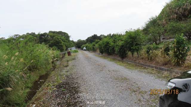 3941 sqm Farmland for Sale in Nago City, Okinawa - Thumbnail 4