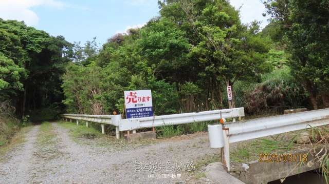 3941 sqm Farmland for Sale in Nago City, Okinawa - Image 1