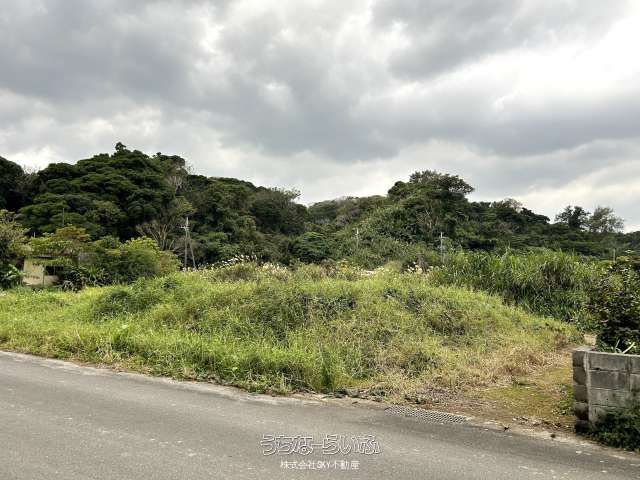 496m² Land for Sale in Nakijin, Okinawa - Near Beach & Theme Park - Thumbnail 3