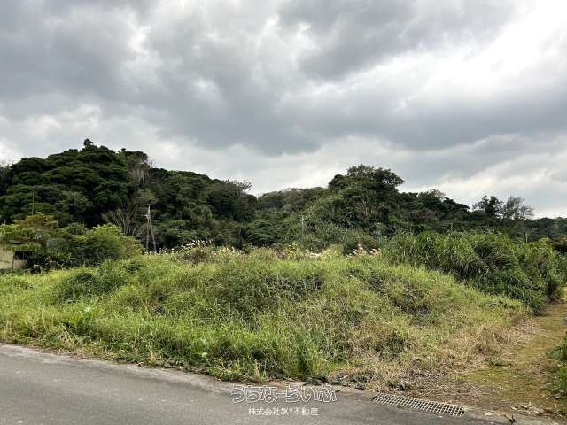 496m² Land for Sale in Nakijin, Okinawa - Near Beach & Theme Park - Thumbnail 4
