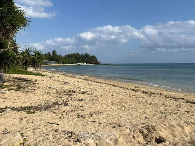 71-Tsubo Flat Land 3 Min Walk to Soke Beach, Ginoza, Okinawa - Thumbnail 2