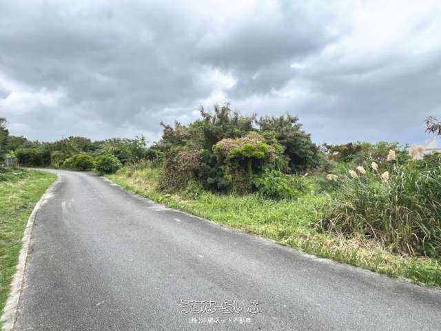 455m² Farmland for Sale in Kunihara, Nanjo City, Okinawa - Thumbnail 3