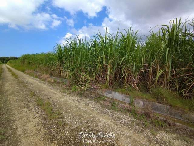 2,165 sqm Agricultural Land for Sale in Itoman City, Okinawa - Thumbnail 2