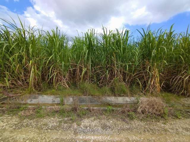 2,165 sqm Agricultural Land for Sale in Itoman City, Okinawa - Thumbnail 4