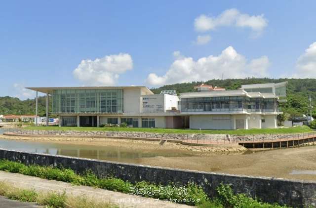 303.5 sqm Land for Sale in Onna Village, Okinawa Resort Area - Thumbnail 3