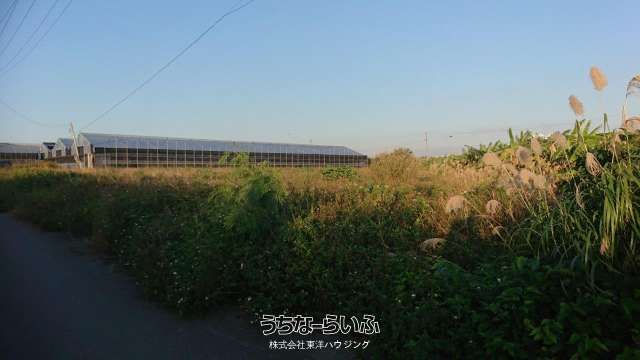 1229 sqm Farmland for Sale in Itoman City, Okinawa - Thumbnail 3