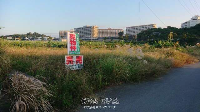 1229 sqm Farmland for Sale in Itoman City, Okinawa - Thumbnail 2