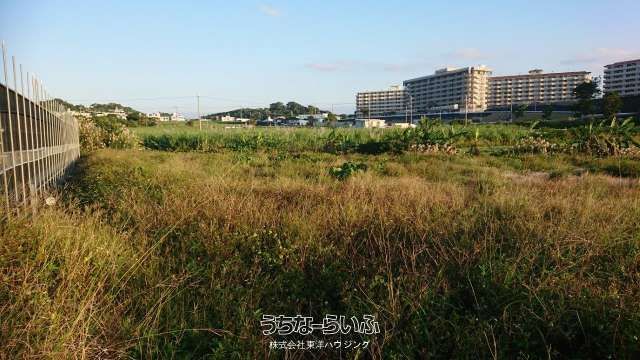 1229 sqm Farmland for Sale in Itoman City, Okinawa - Thumbnail 4