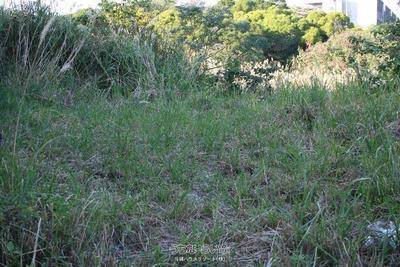 204m² Harbor View Land Plot in Sesoko, Motobu Town, Okinawa — Land, Motobu, Okinawa