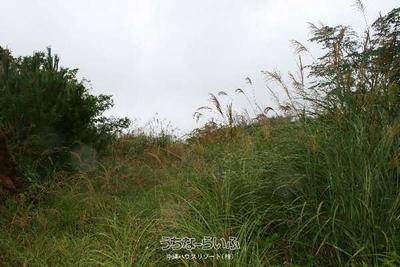 204m² Harbor View Land Plot in Sesoko, Motobu Town, Okinawa — Land, Motobu, Okinawa