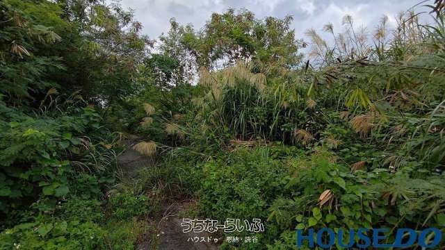 429m² Agricultural Land for Sale on Sesoko Island, Motobu, Okinawa - Thumbnail 2