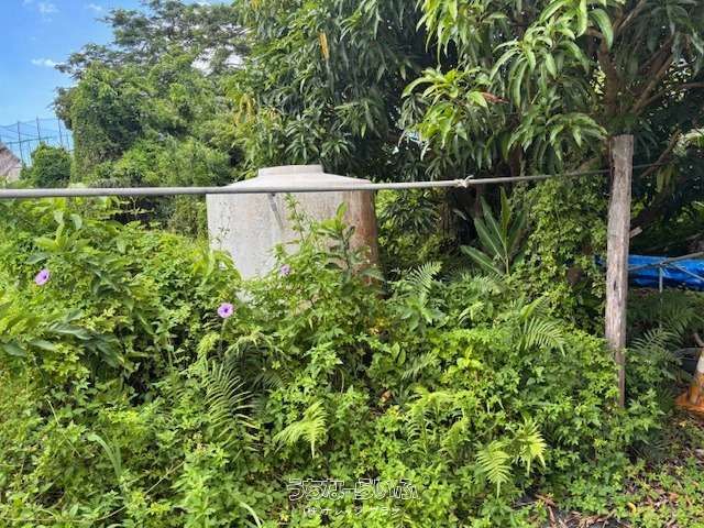 826.88 sqm Land Plot for Sale in Nago City, Okinawa - Thumbnail 3