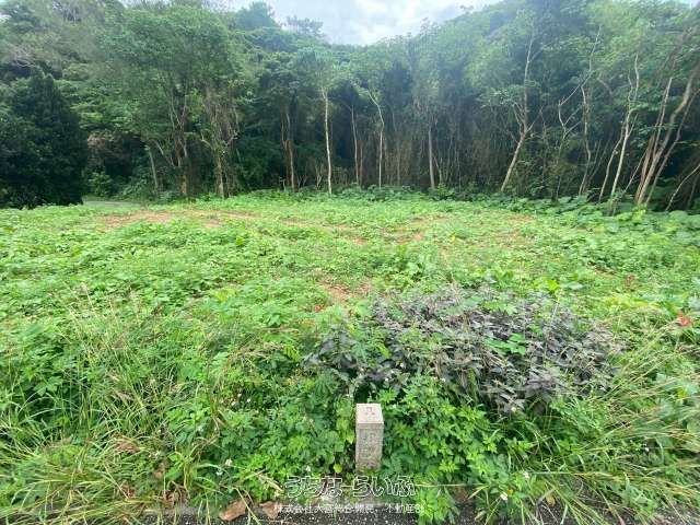 135 Tsubo Land for Sale in Nago City, Steps from Ōura Beach - Thumbnail 2