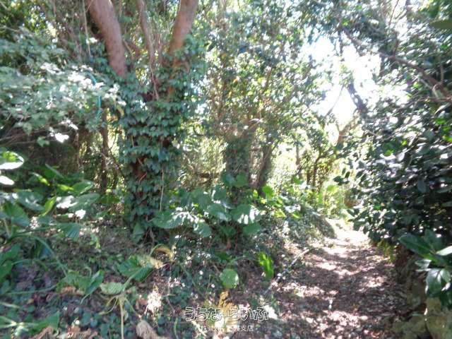 Ocean View Land for Sale in Motobu Town, Okinawa - 1152m² - Thumbnail 2