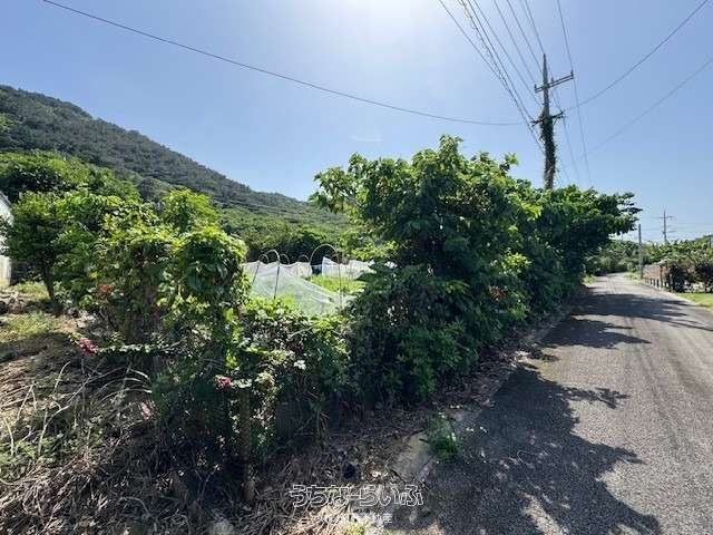 167 Tsubo Land for Sale in Ishigaki's Tairakubo - Prime Corner Lot - Thumbnail 4