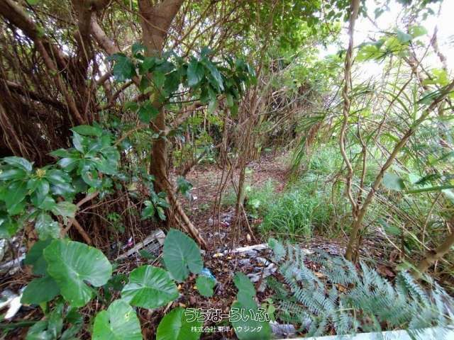1134 sqm Development Land for Sale in Nishihara, Okinawa - Thumbnail 3