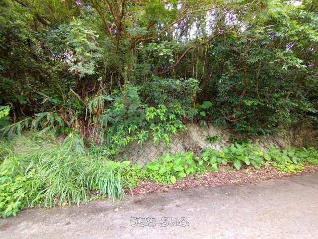 1134 sqm Development Land for Sale in Nishihara, Okinawa - Thumbnail 2