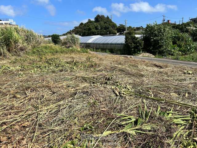 224.13 sqm Residential Land for Sale in Nanjo City, Okinawa - Thumbnail 3