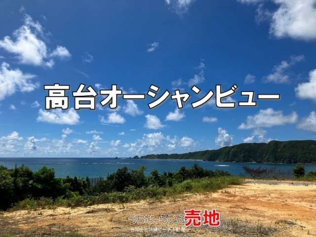 Ocean View Land for Sale in Higashi Village, Okinawa - 1102m² - Thumbnail 4