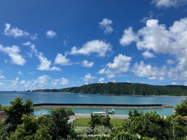 Ocean View Land for Sale in Higashi Village, Okinawa - 1102m² - Thumbnail 2