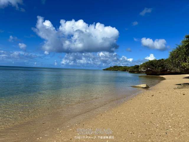 1,946 sqm Villa Land in Ishigaki Noso Near Beach - Thumbnail 3