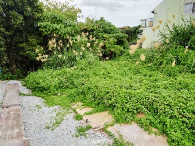 164m² Land Plot for Sale in Onna Village, Okinawa - Thumbnail 4