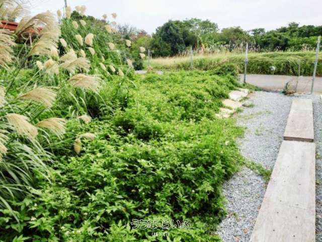 164m² Land Plot for Sale in Onna Village, Okinawa - Thumbnail 3