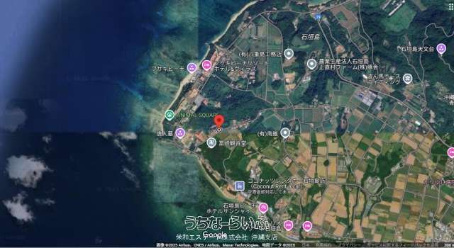 1952m² Land for Sale in Ishigaki's Shinkawa Near Fusaki Resort - Thumbnail 4
