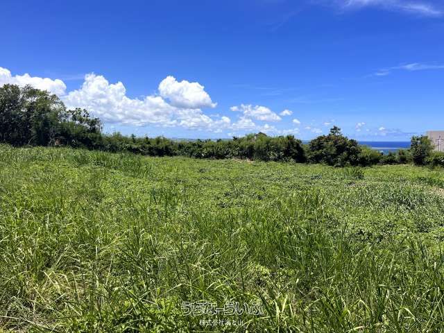 Ocean View Land for Sale in Yomitan Village, Okinawa - Thumbnail 4