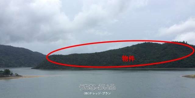 149,834 sqm Mountain & Sea-Front Land for Sale in Ogimi, Okinawa - Thumbnail 2