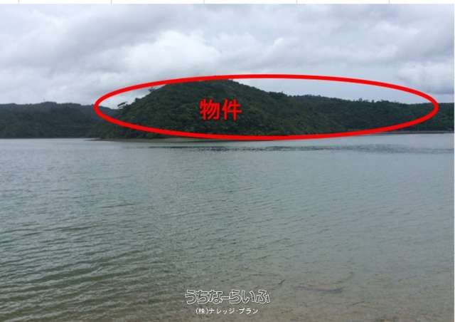 149,834 sqm Mountain & Sea-Front Land for Sale in Ogimi, Okinawa - Thumbnail 3