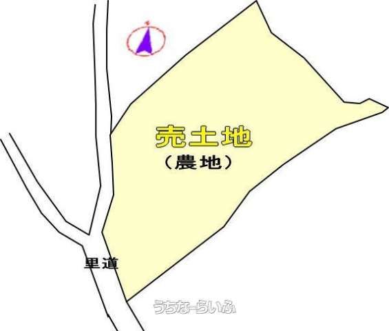 1186m² Agricultural Land for Sale in Nanjo City, Okinawa - Thumbnail 3