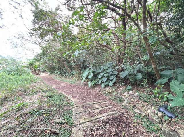 1186m² Agricultural Land for Sale in Nanjo City, Okinawa - Thumbnail 4