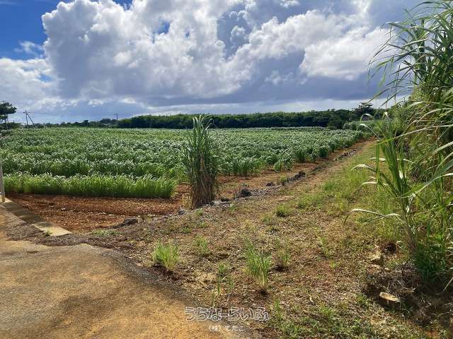6682 sqm Land for Sale in Irabu, Miyakojima City, Okinawa - Thumbnail 2