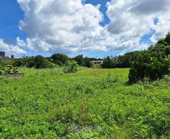 Land for Sale in Miyakojima's Koshibaru Area, Okinawa - Thumbnail 3