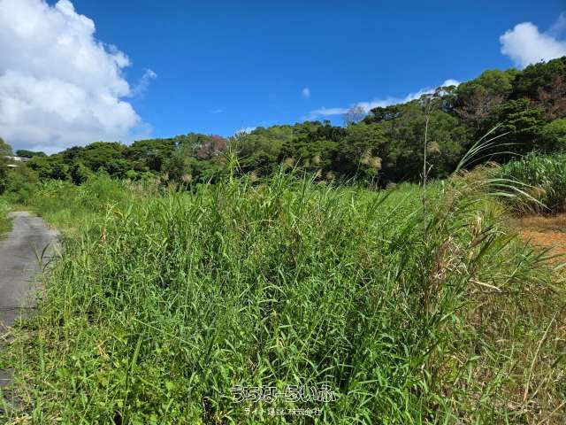 Agricultural Land Plot for Sale in Ginowan Village, Okinawa - Thumbnail 2