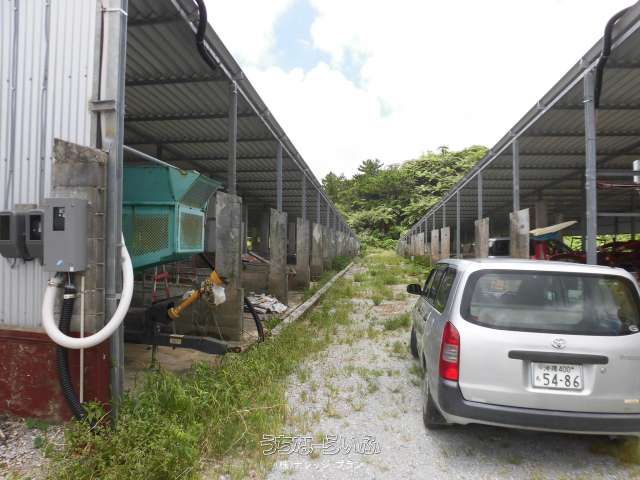 75,380 sqm Land with Solar Farm in Ogimi Village, Okinawa - Thumbnail 3