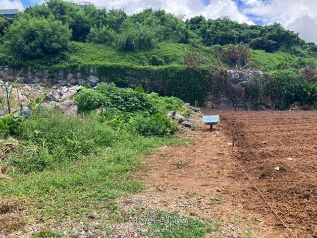862 sqm Ocean View Land for Sale in Motobu, Okinawa - Thumbnail 4