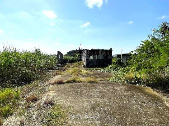 16,875 sqm Agricultural Land for Sale in Miyakojima, Okinawa - Image 1