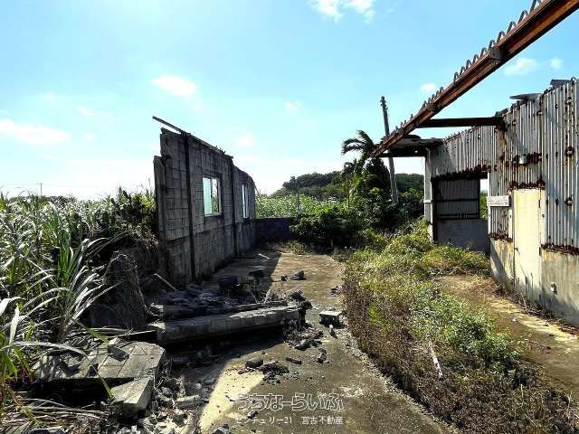 16,875 sqm Agricultural Land for Sale in Miyakojima, Okinawa - Thumbnail 3