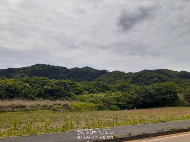 1,372㎡ Land for Sale in Noso, Ishigaki - Vacation Home Plot - Thumbnail 3