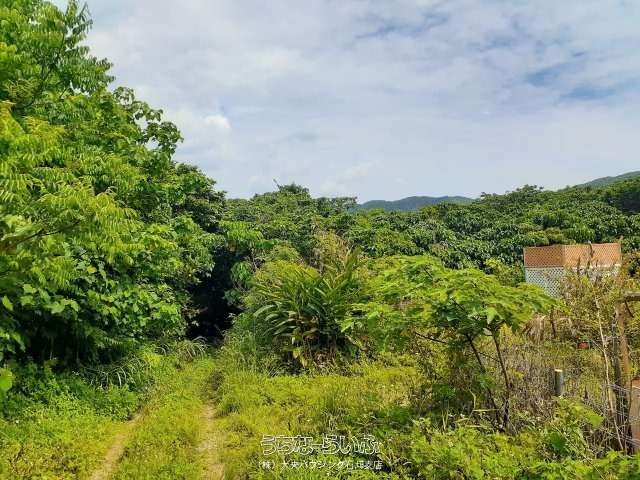 1,372㎡ Land for Sale in Noso, Ishigaki - Vacation Home Plot - Thumbnail 2