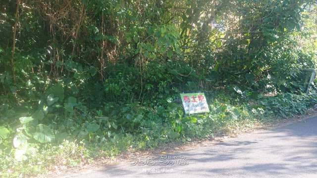 525m² Land for Sale in Itoman City, Okinawa - Thumbnail 3