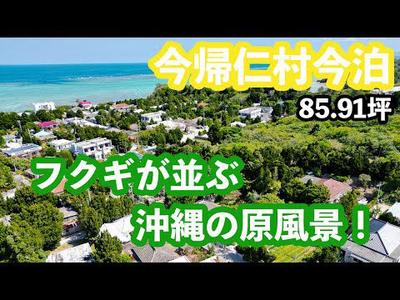 Imadomari, Nakijin Village / 284m² / 85.91 tsubo / Land for sale for 11.5 million yen | Okinawa real estate information [Uchinaa Life] (t-6407-6230310-0718) — Image 2, Nakijin, Okinawa